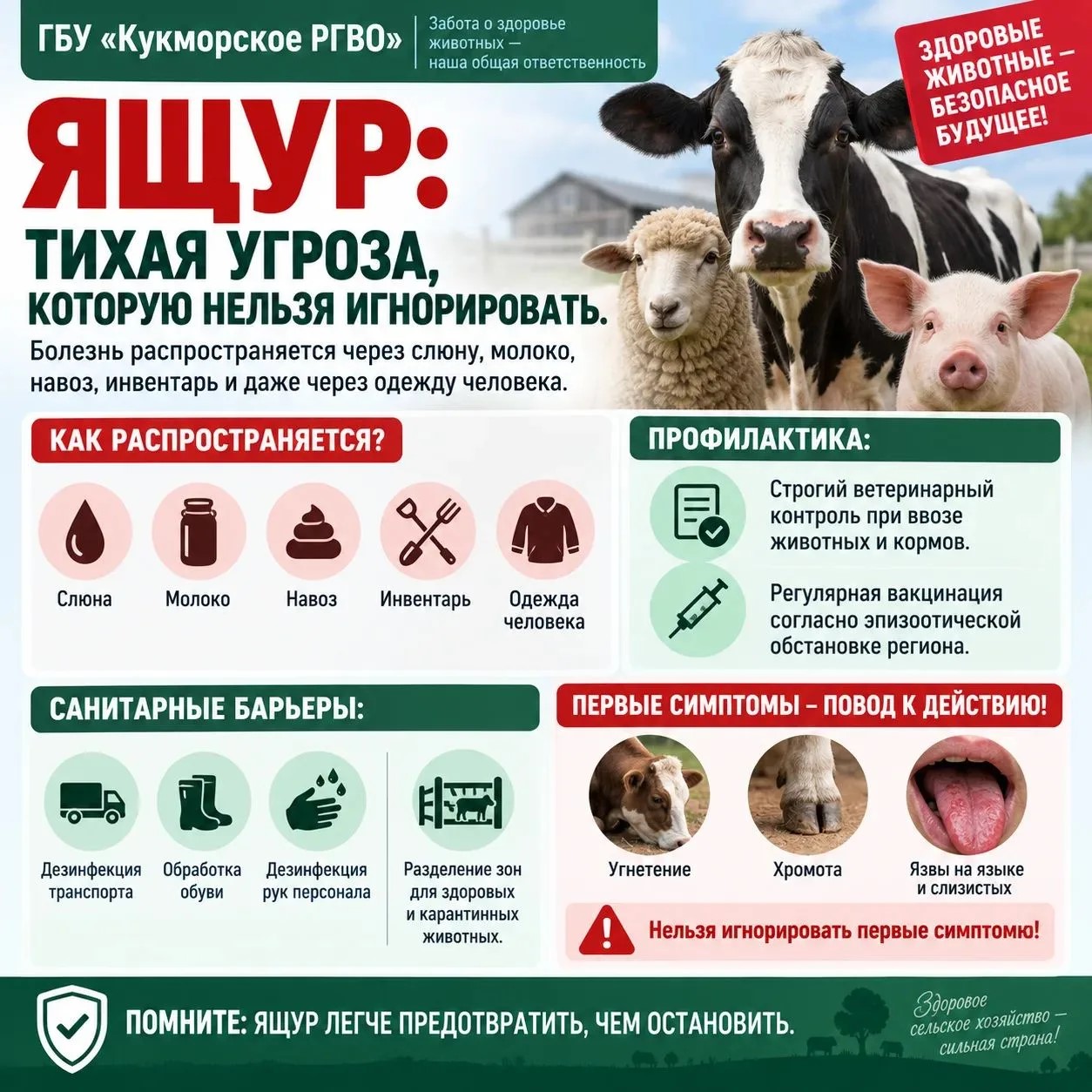 Ящур: тихая угроза, которую нельзя игнорировать